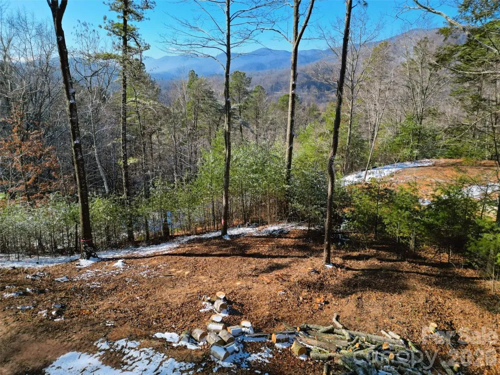 3 Dream Valley Drive #3 Clyde, NC 28721