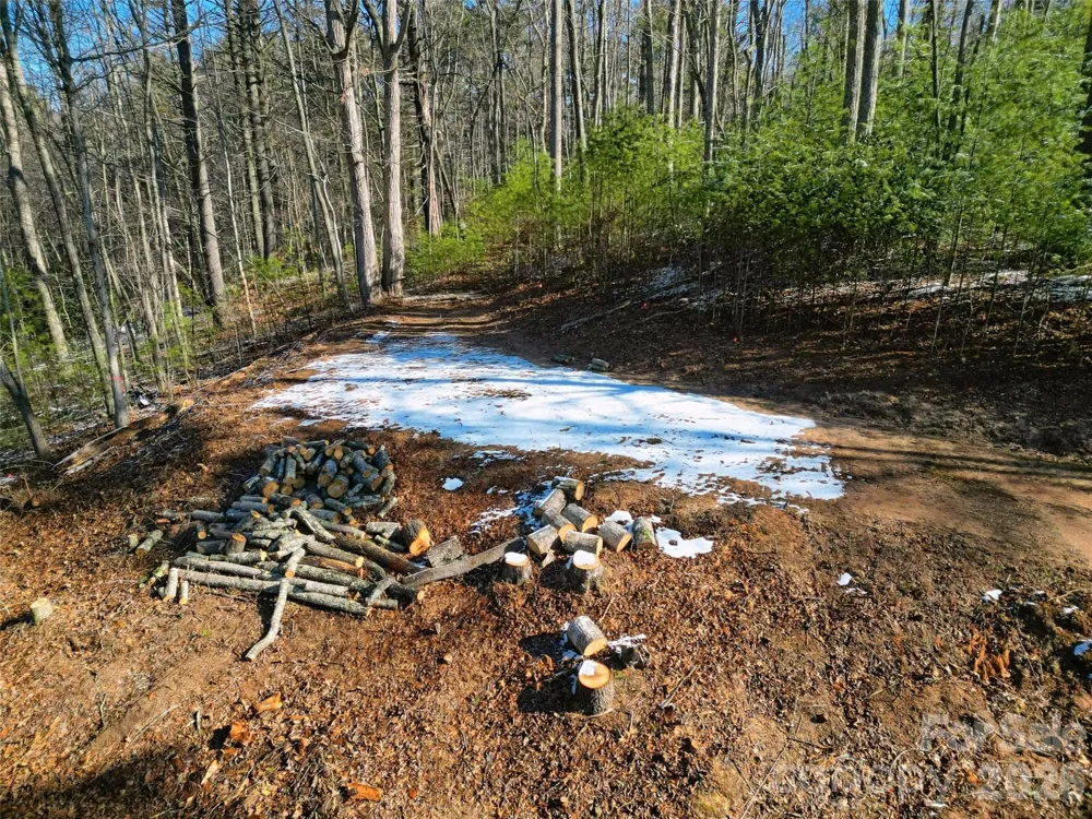 3 Dream Valley Drive #3 Clyde, NC 28721