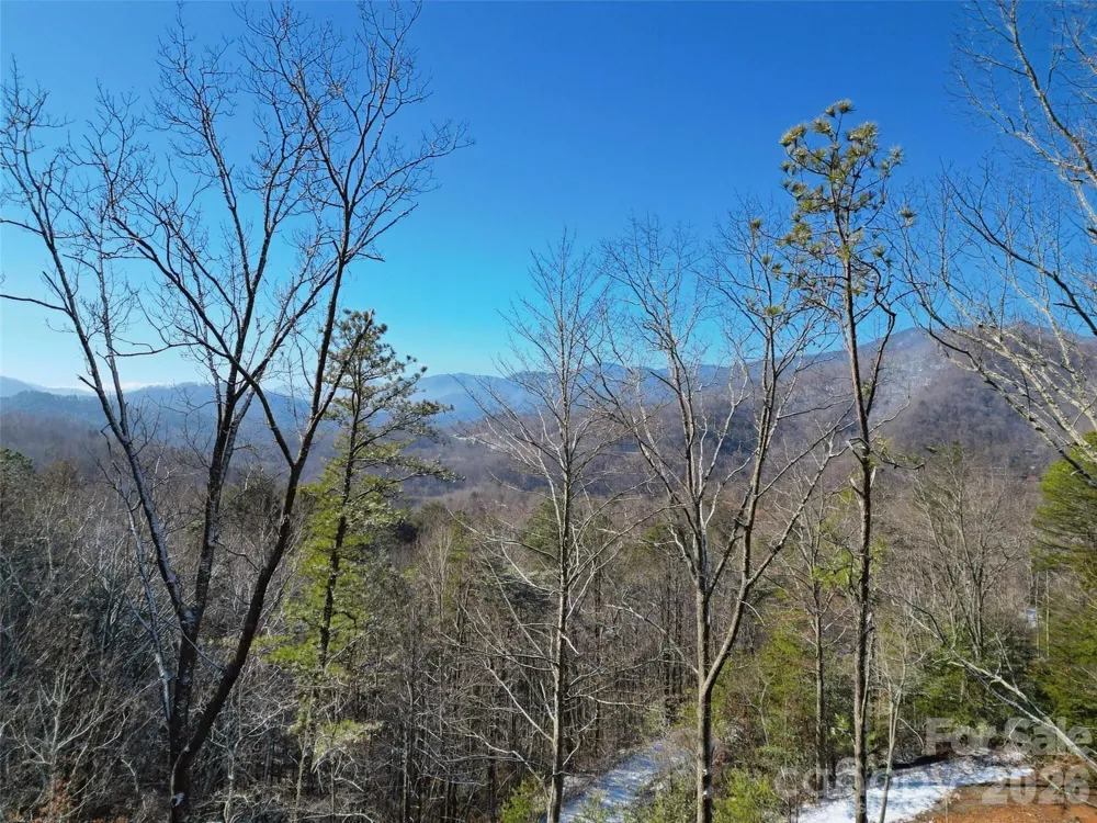 3 Dream Valley Drive #3 Clyde, NC 28721
