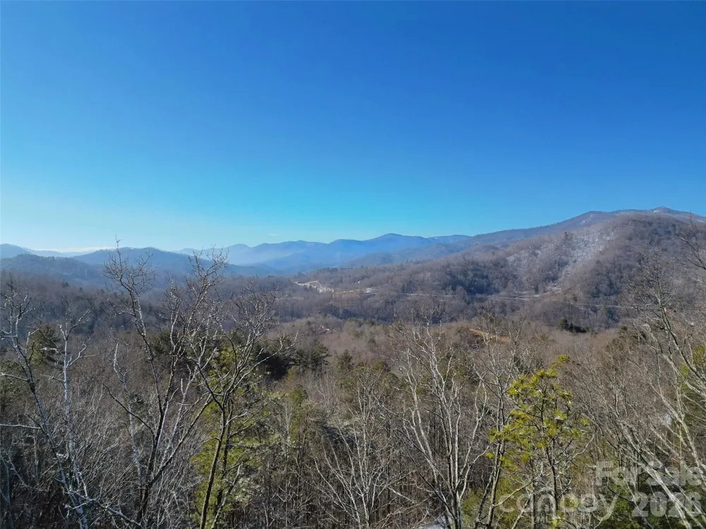 3 Dream Valley Drive #3 Clyde, NC 28721