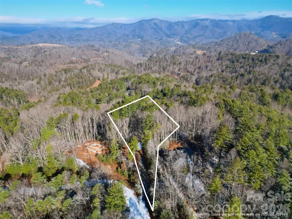 3 Dream Valley Drive #3 Clyde, NC 28721