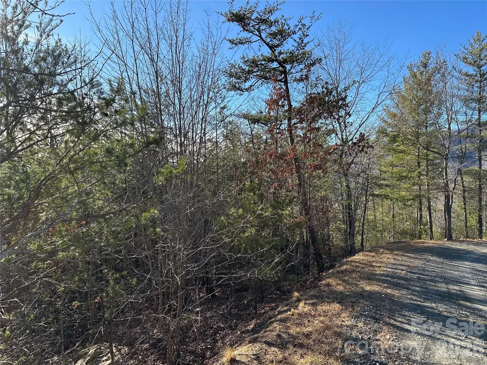 000 Fox Ridge Trail #57 Marion, NC 28752
