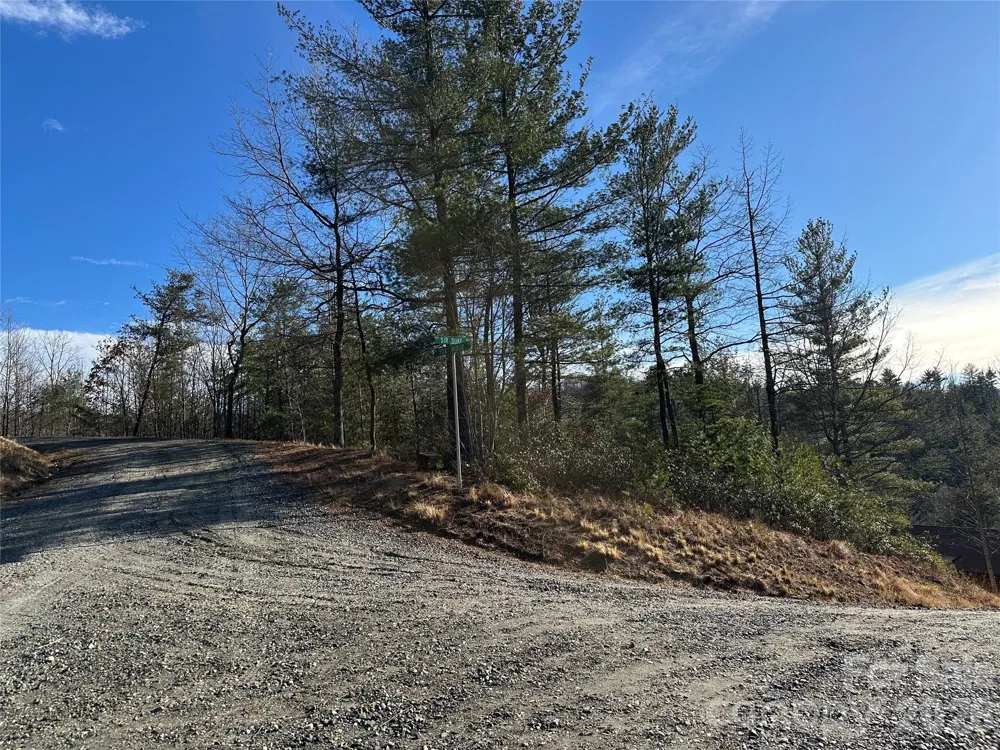 000 Fox Ridge Trail #57 Marion, NC 28752