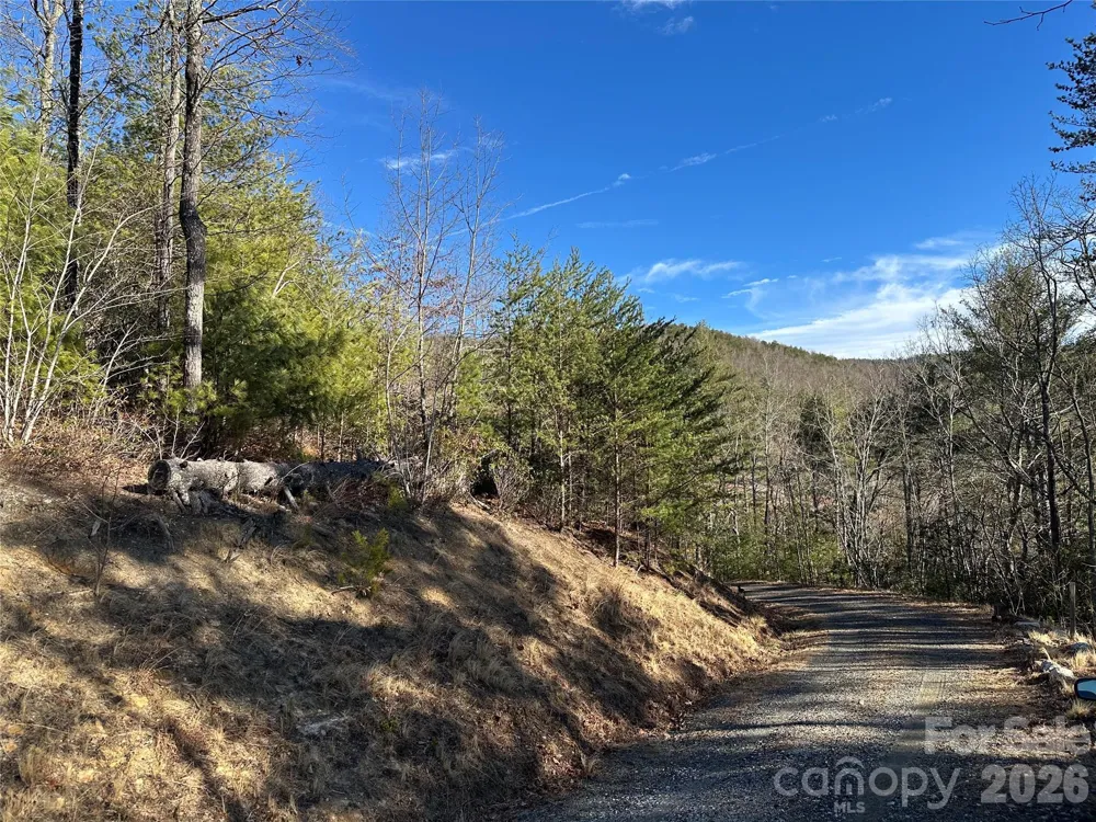 000 Fox Ridge Trail #57 Marion, NC 28752