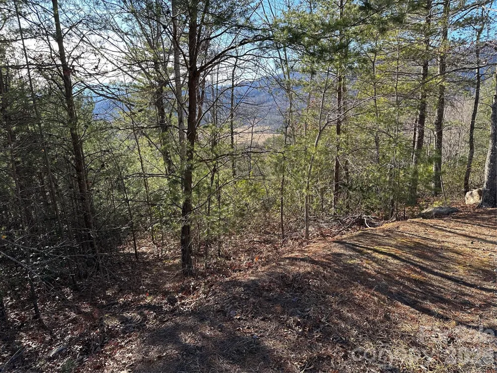 000 Fox Ridge Trail #57 Marion, NC 28752