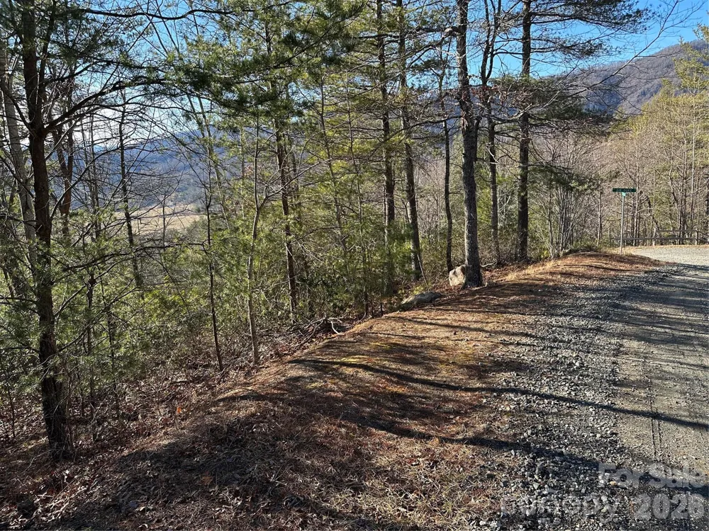 000 Fox Ridge Trail #57 Marion, NC 28752
