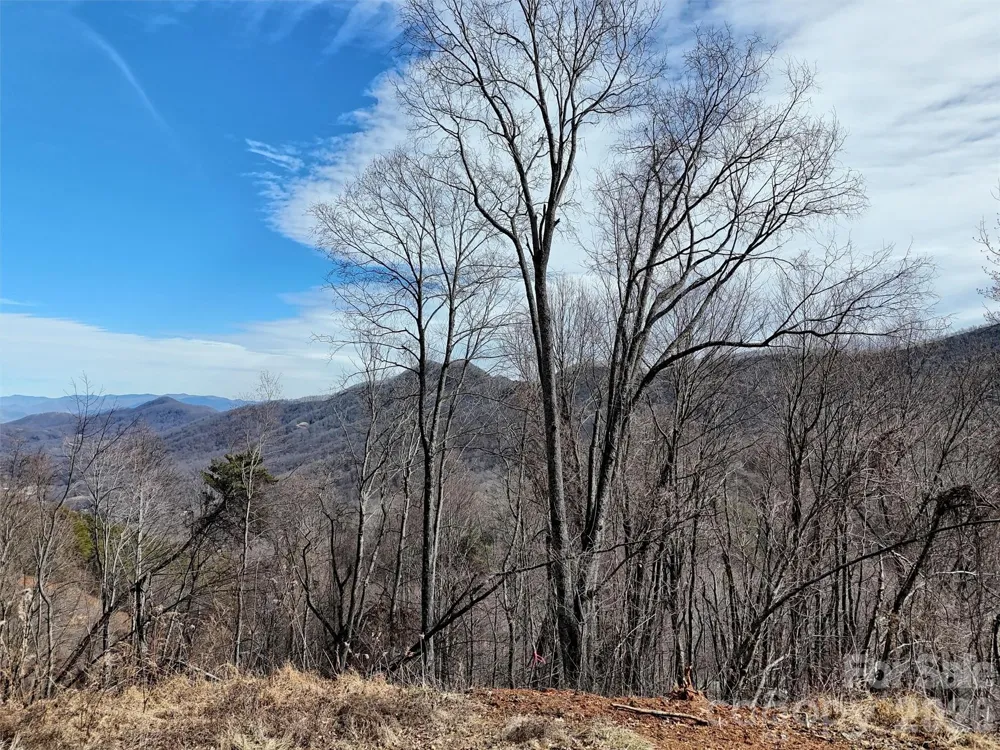 TBD Rock Ridge Road #9A & 9B Leicester, NC 28748