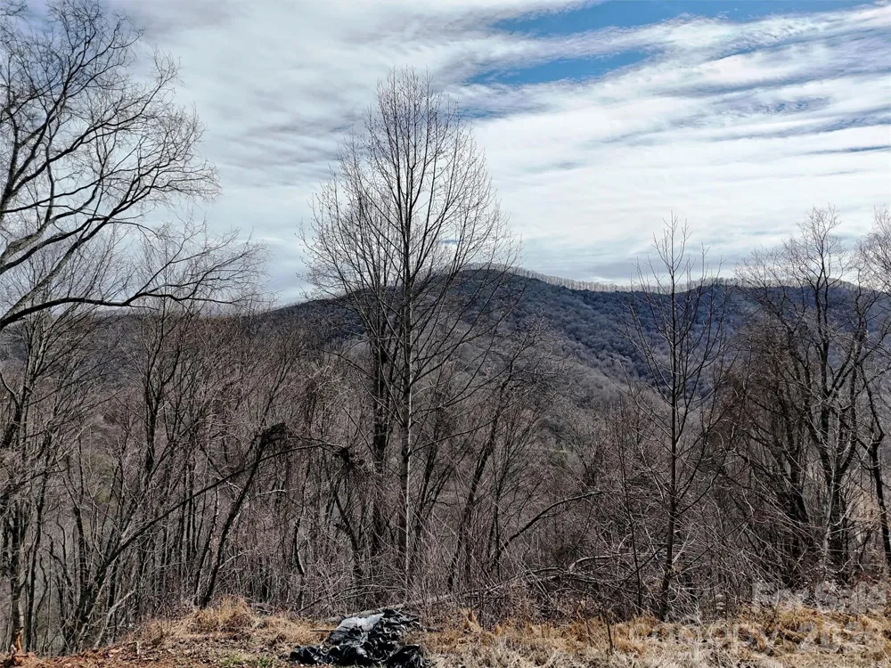 TBD Rock Ridge Road #9A & 9B Leicester, NC 28748