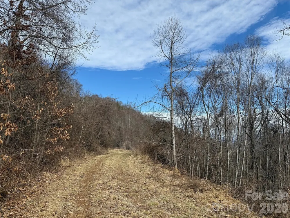 TBD Rock Ridge Road #9A & 9B Leicester, NC 28748