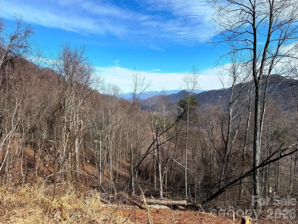 TBD Rock Ridge Road #9A & 9B Leicester, NC 28748