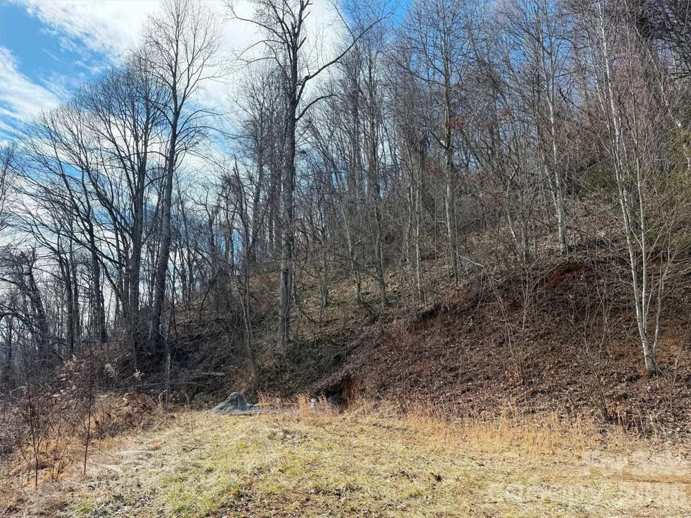 TBD Rock Ridge Road #9A & 9B Leicester, NC 28748