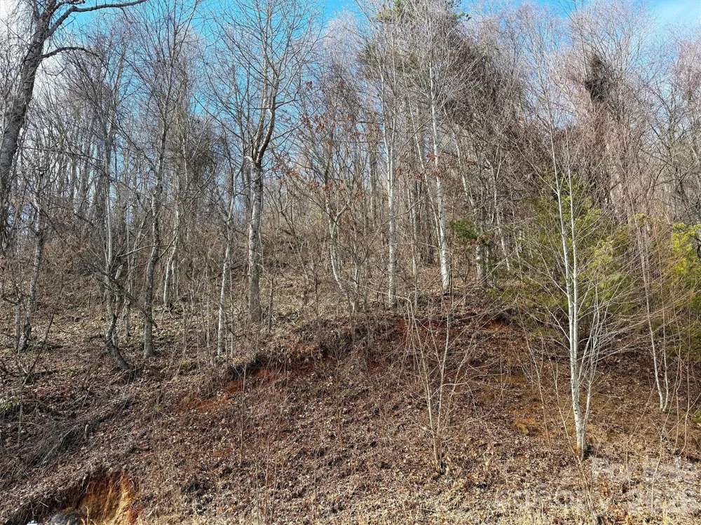 TBD Rock Ridge Road #9A & 9B Leicester, NC 28748