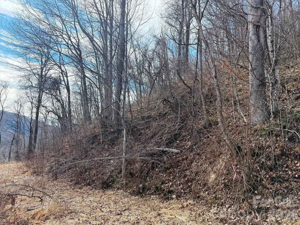 TBD Rock Ridge Road #9A & 9B Leicester, NC 28748