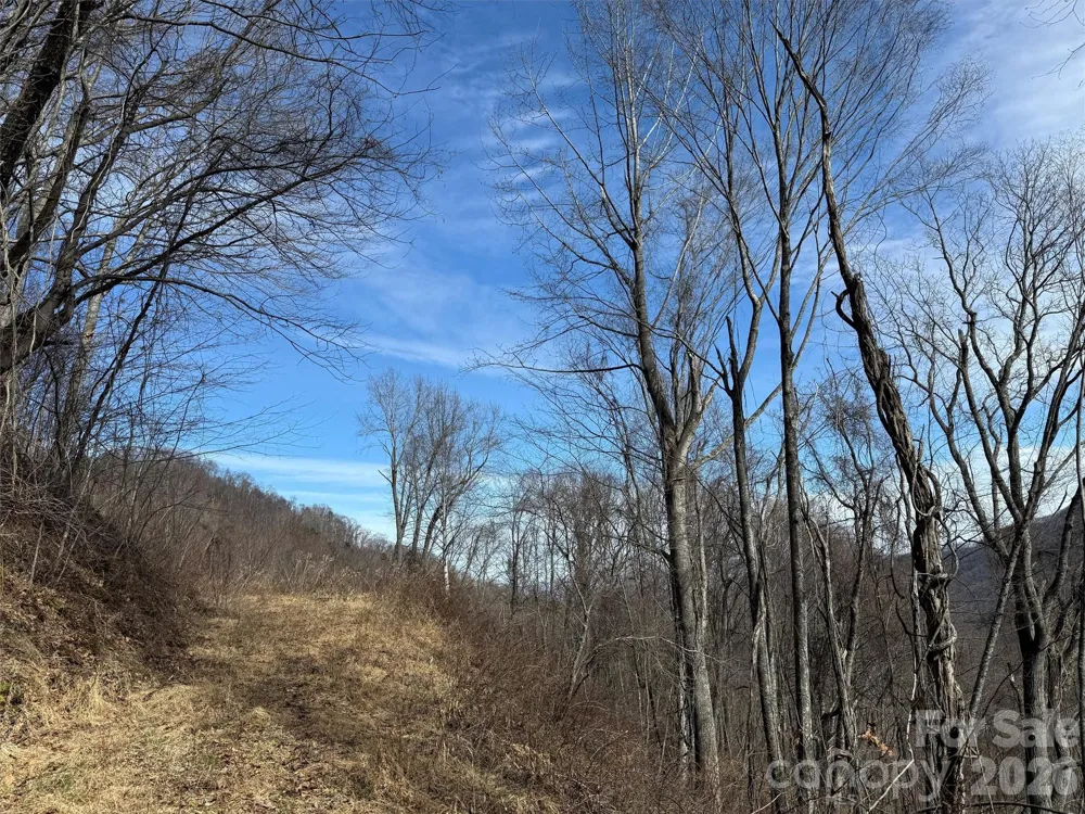 TBD Rock Ridge Road #9A & 9B Leicester, NC 28748