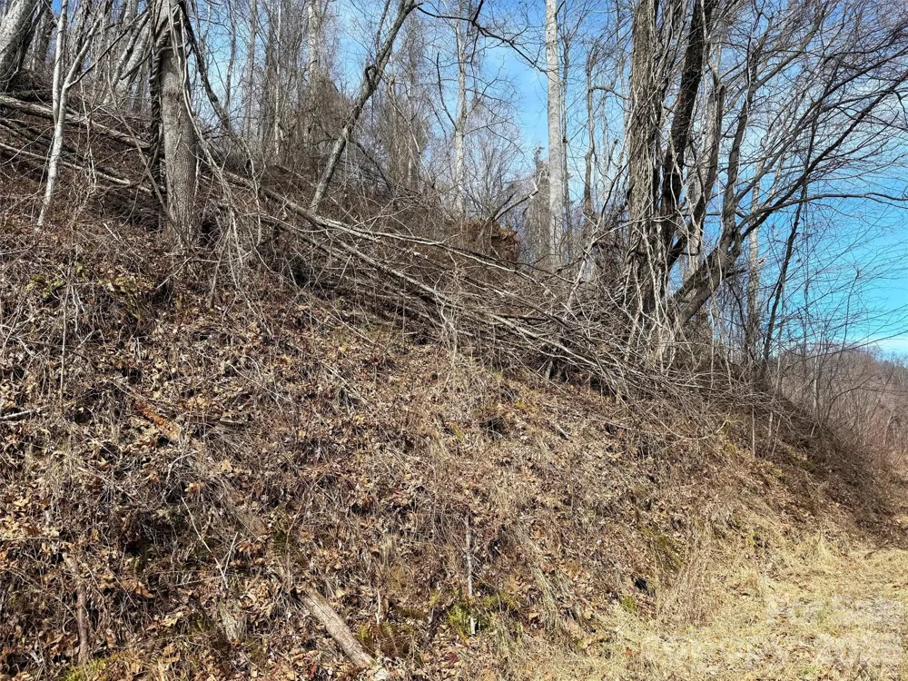 TBD Rock Ridge Road #9A & 9B Leicester, NC 28748