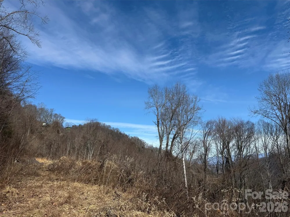 TBD Rock Ridge Road #9A & 9B Leicester, NC 28748