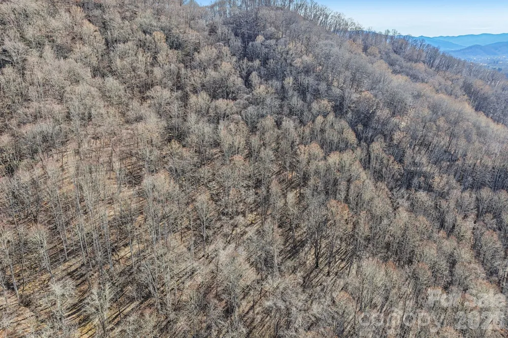 530 Wilson Cove Road Canton, NC 28716