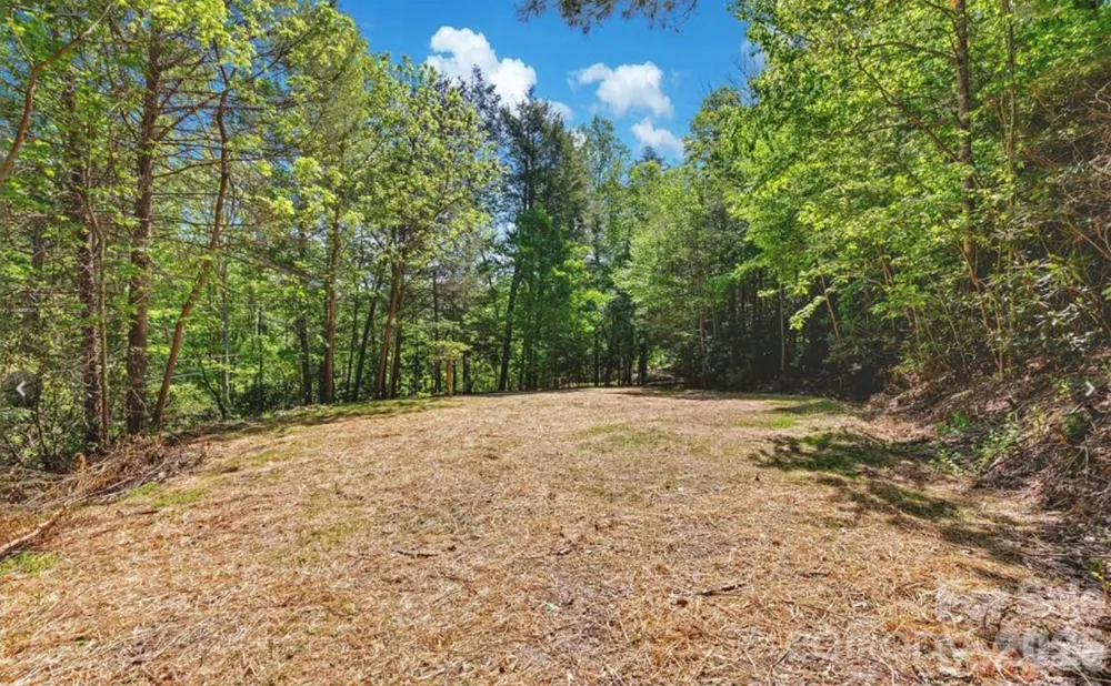 1127 Bee Tree Road Swannanoa, NC 28778