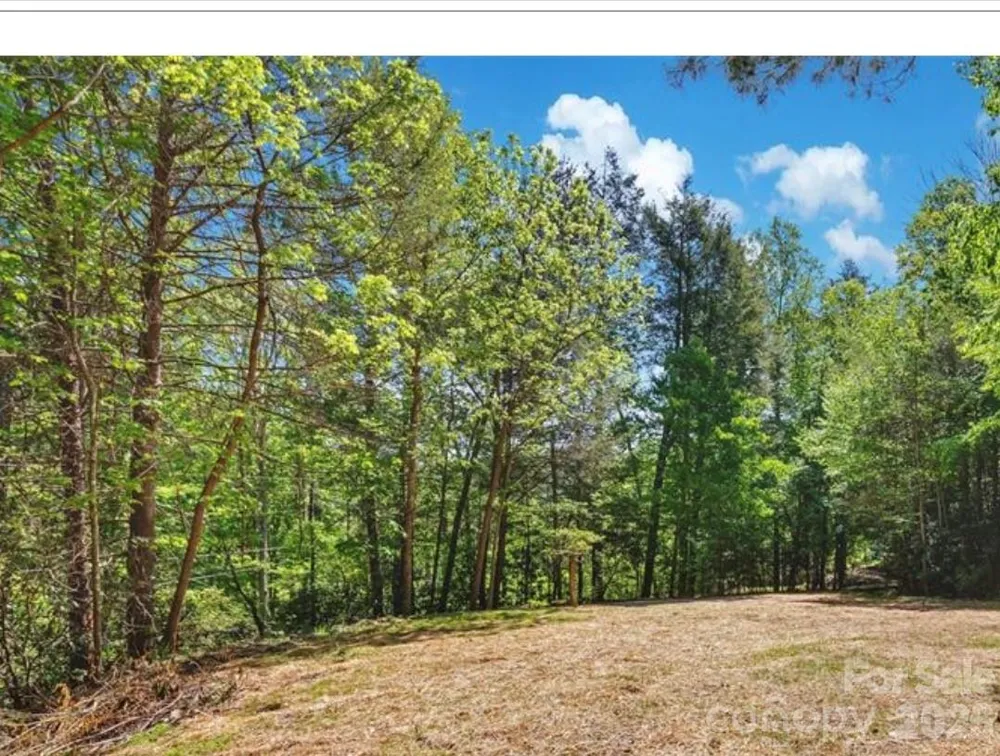 1127 Bee Tree Road Swannanoa, NC 28778