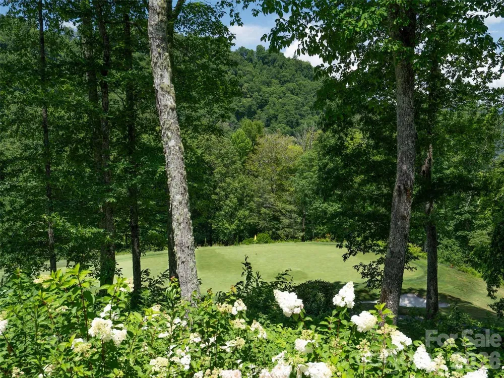 1839 Grandview Drive Tuckasegee, NC 28783