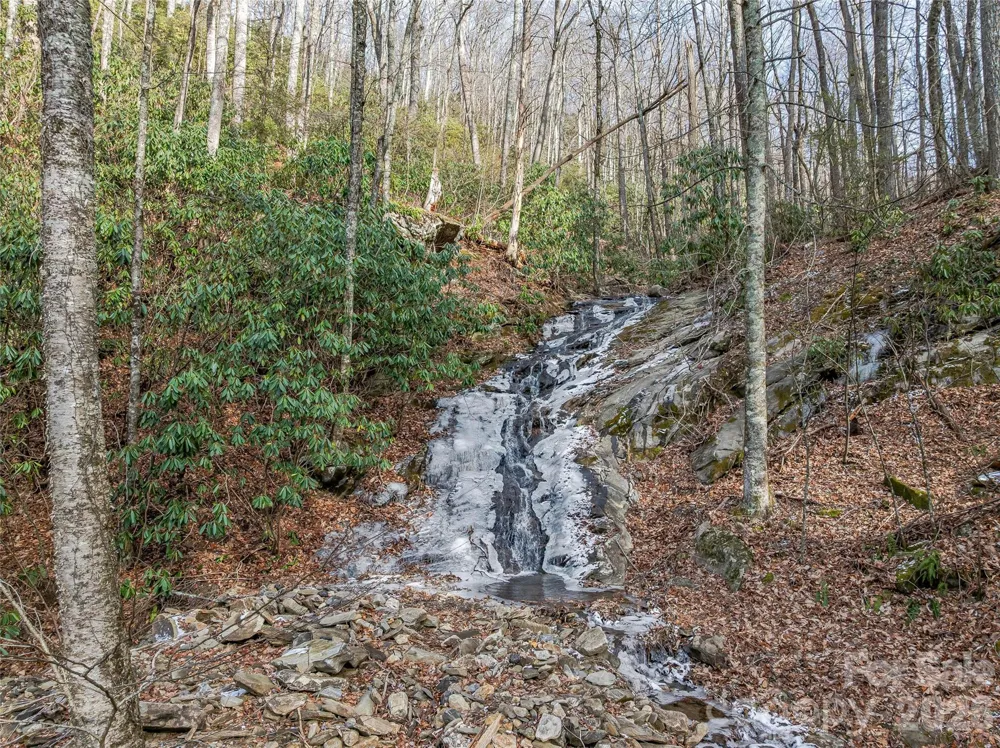 119 Wildflower Cove Drive Swannanoa, NC 28778