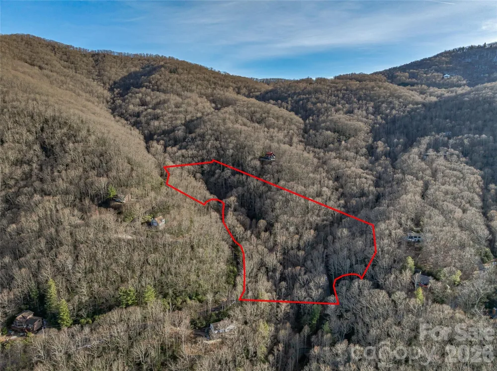119 Wildflower Cove Drive Swannanoa, NC 28778
