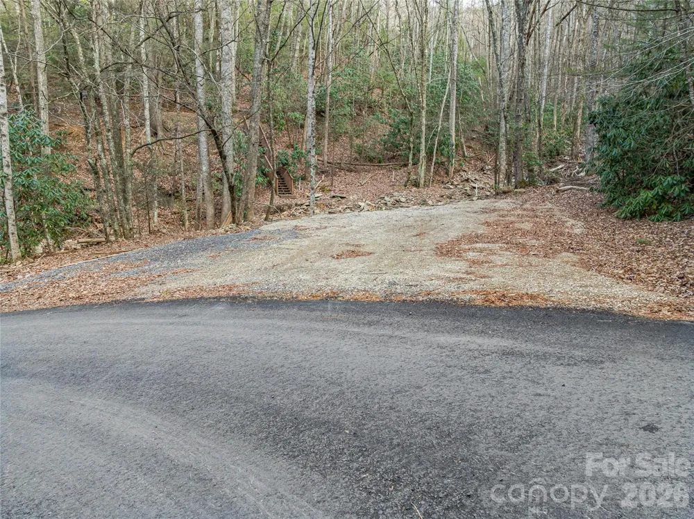 119 Wildflower Cove Drive Swannanoa, NC 28778