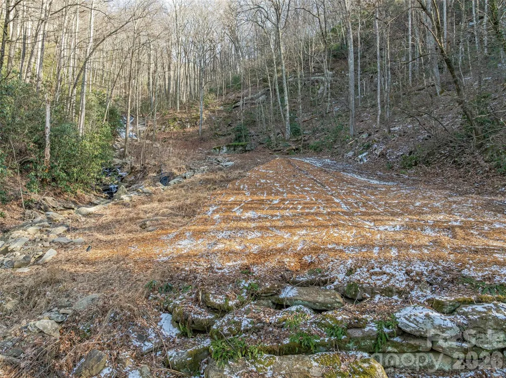119 Wildflower Cove Drive Swannanoa, NC 28778