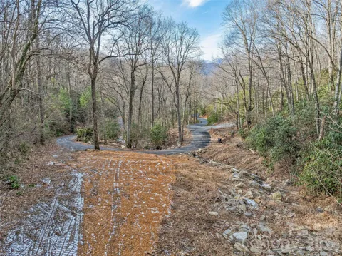 119 Wildflower Cove Drive