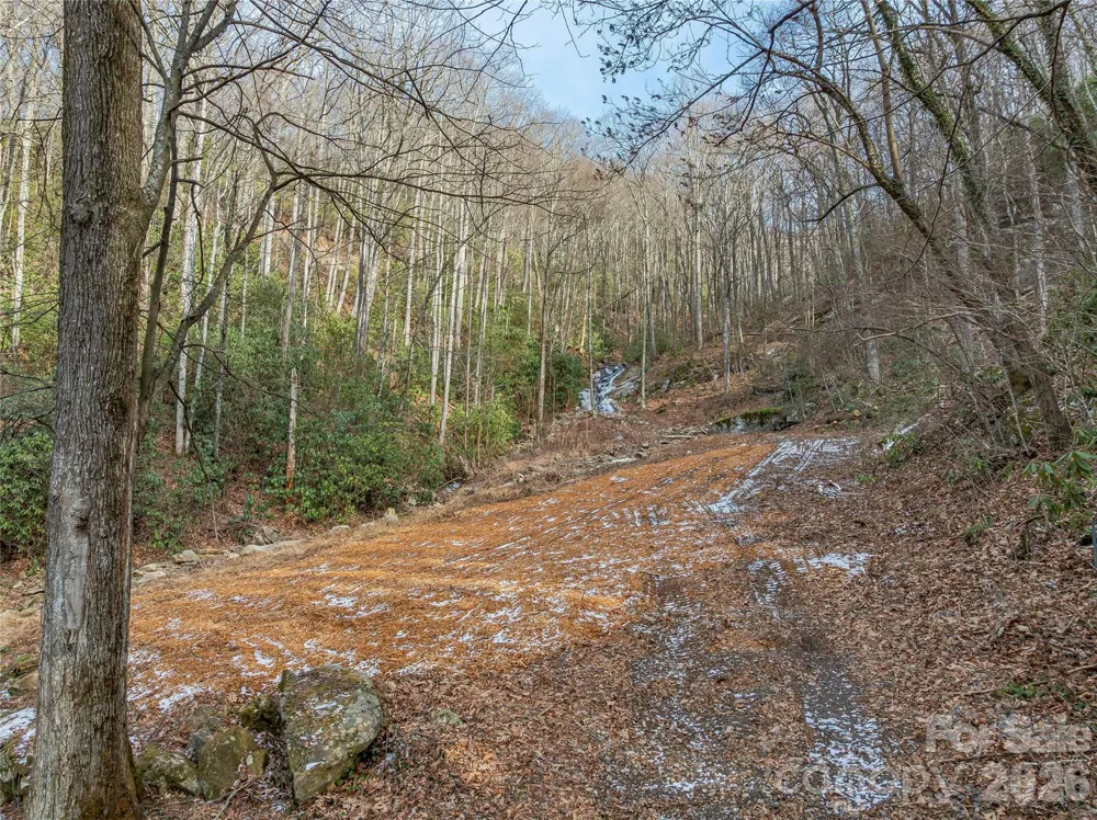 119 Wildflower Cove Drive Swannanoa, NC 28778