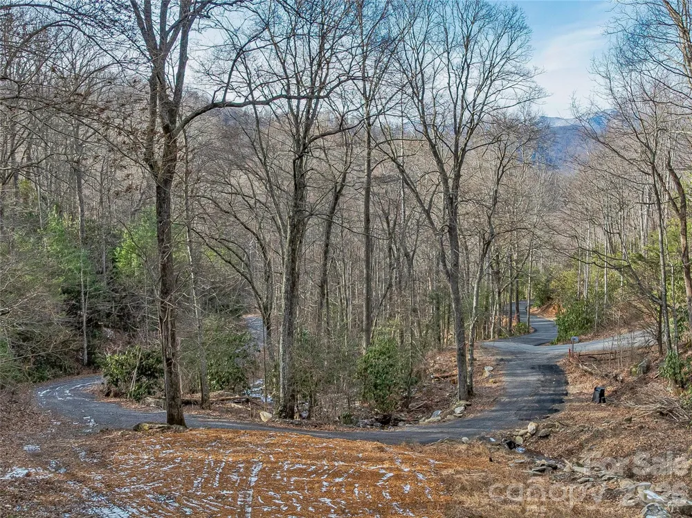 119 Wildflower Cove Drive Swannanoa, NC 28778