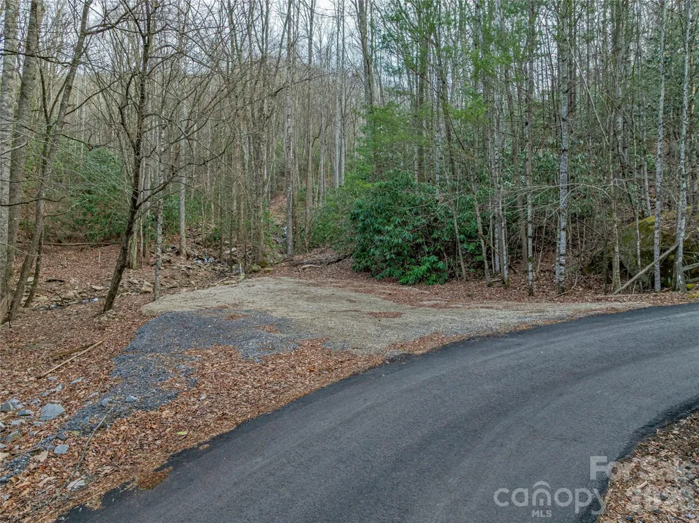 119 Wildflower Cove Drive Swannanoa, NC 28778