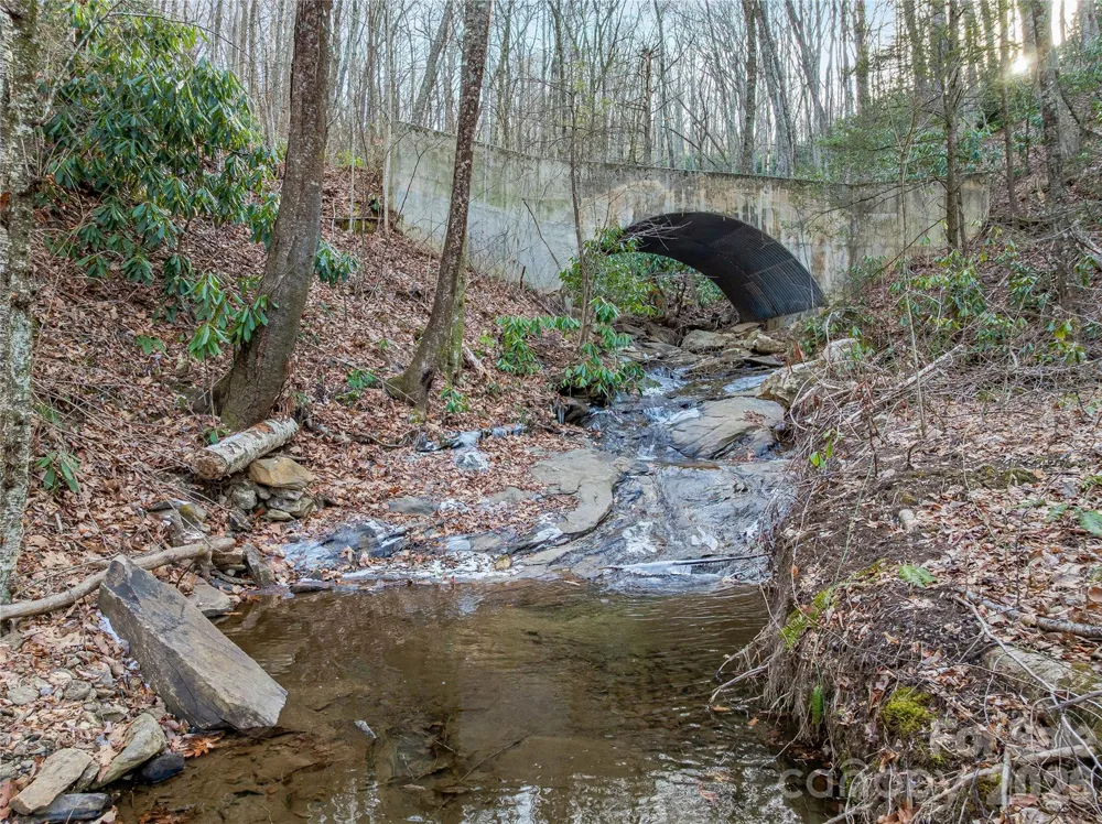119 Wildflower Cove Drive Swannanoa, NC 28778