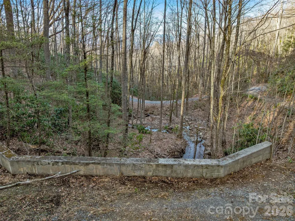 119 Wildflower Cove Drive Swannanoa, NC 28778