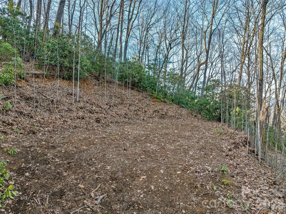 119 Wildflower Cove Drive Swannanoa, NC 28778