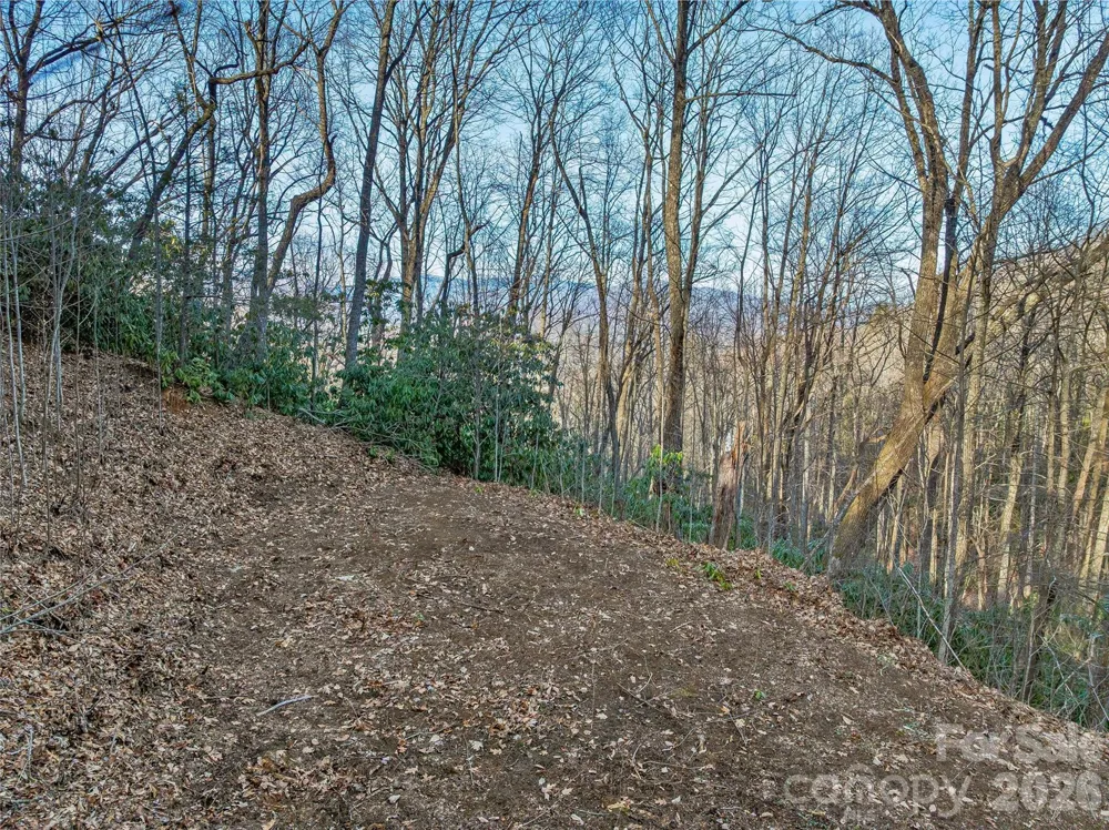 119 Wildflower Cove Drive Swannanoa, NC 28778