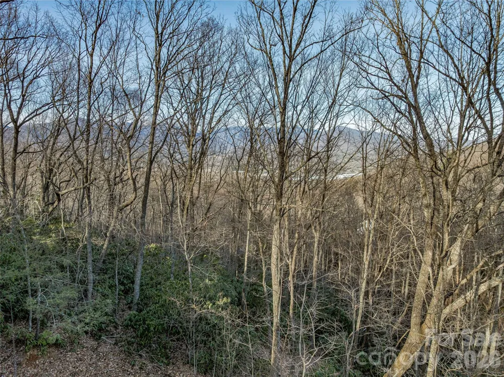 119 Wildflower Cove Drive Swannanoa, NC 28778