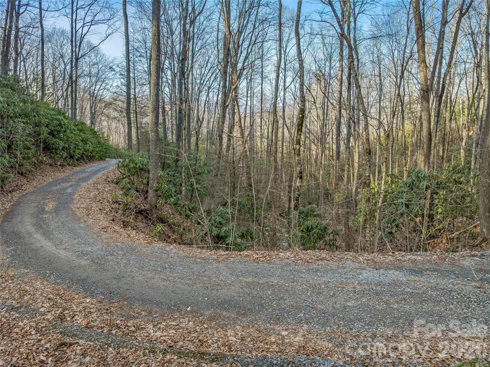 119 Wildflower Cove Drive Swannanoa, NC 28778