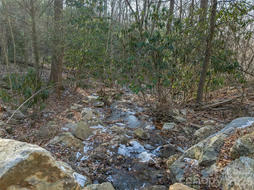 119 Wildflower Cove Drive Swannanoa, NC 28778