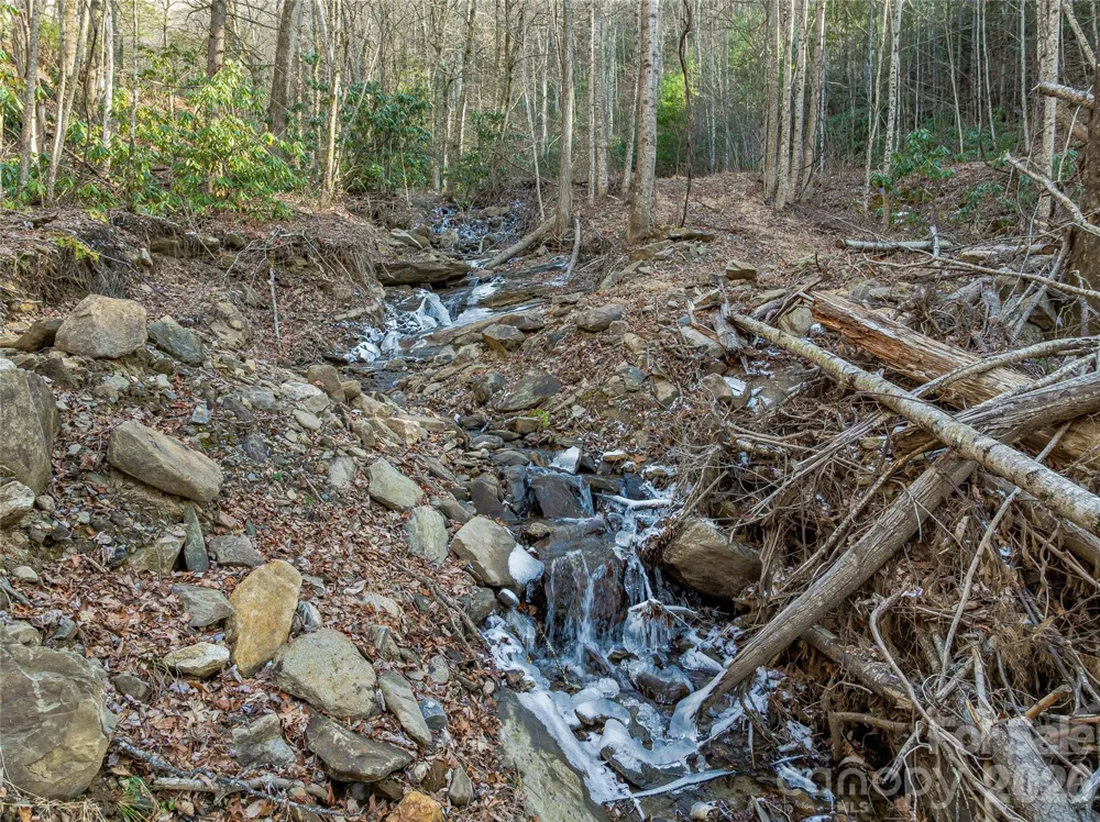 119 Wildflower Cove Drive Swannanoa, NC 28778