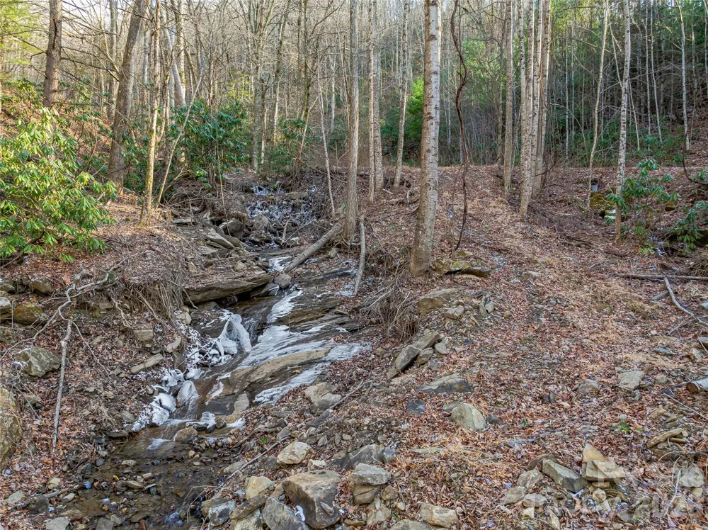 119 Wildflower Cove Drive Swannanoa, NC 28778