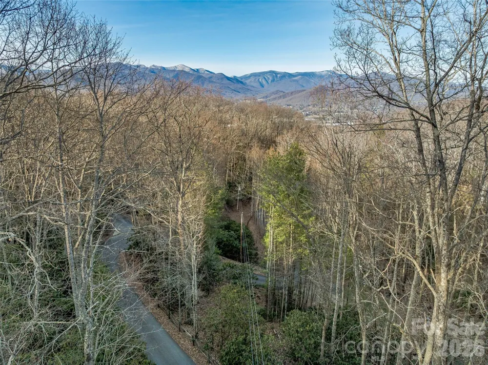119 Wildflower Cove Drive Swannanoa, NC 28778
