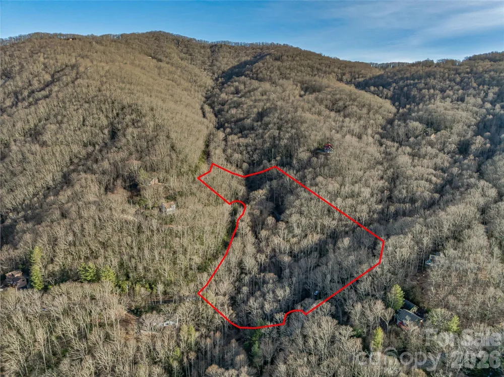 119 Wildflower Cove Drive Swannanoa, NC 28778