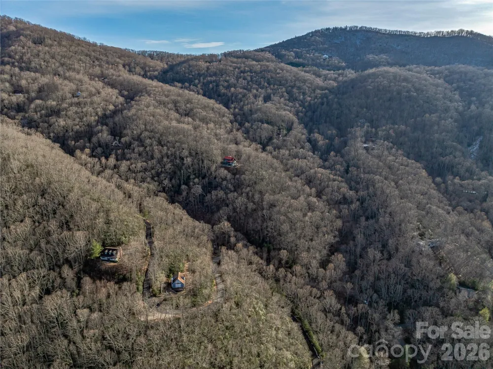 119 Wildflower Cove Drive Swannanoa, NC 28778
