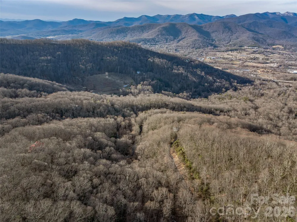 119 Wildflower Cove Drive Swannanoa, NC 28778
