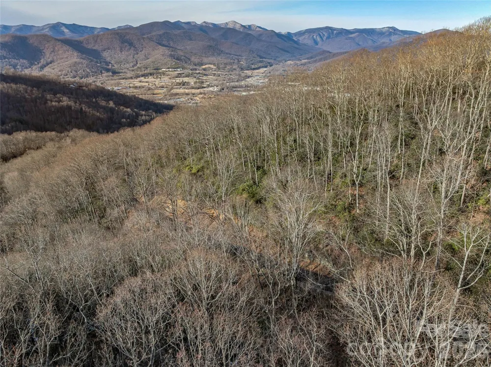 119 Wildflower Cove Drive Swannanoa, NC 28778