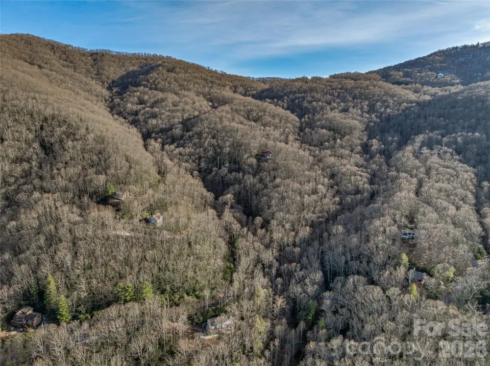 119 Wildflower Cove Drive Swannanoa, NC 28778
