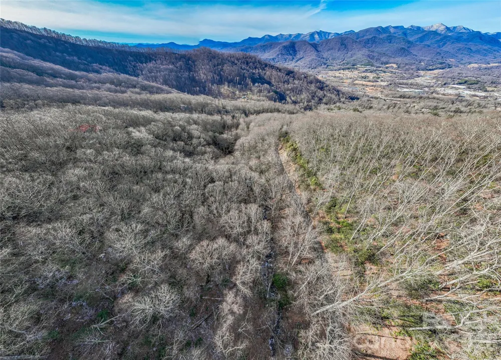 119 Wildflower Cove Drive Swannanoa, NC 28778
