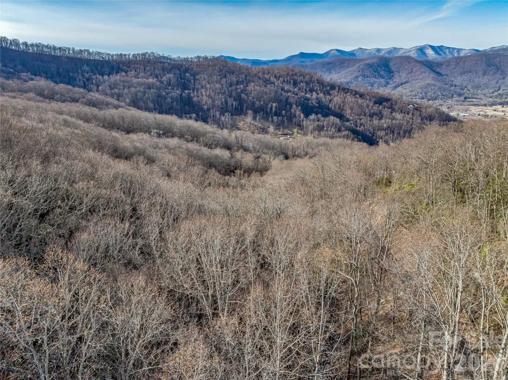 119 Wildflower Cove Drive Swannanoa, NC 28778