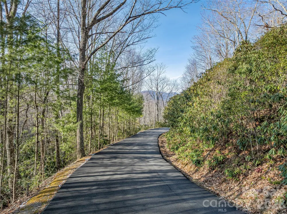 119 Wildflower Cove Drive Swannanoa, NC 28778